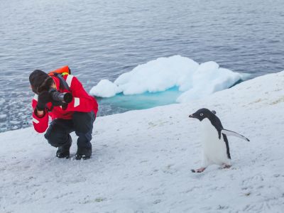 Die Antarktis ist ein Paradies für Fotografen. Hier posiert ein Adeliepinguin (© Anya Berkut)